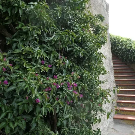 公寓 Andrea Forio di Ischia