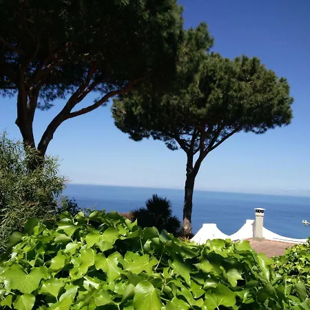 Andrea 公寓 Forio di Ischia